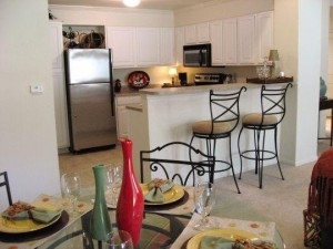 Gourmet Kitchen